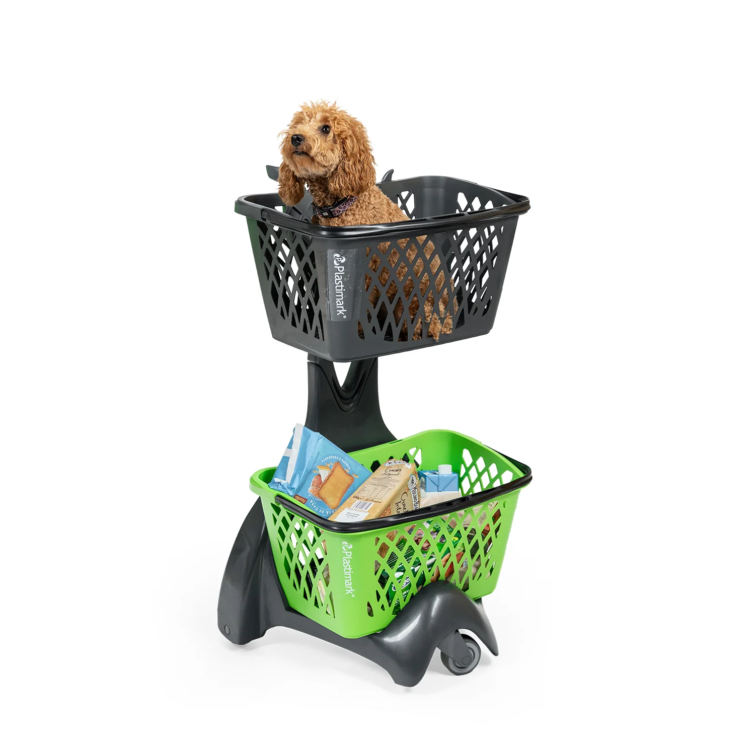 Kery Sepet Taşıyıcı (Furbo Plastic) – evcil hayvan uyarlaması
